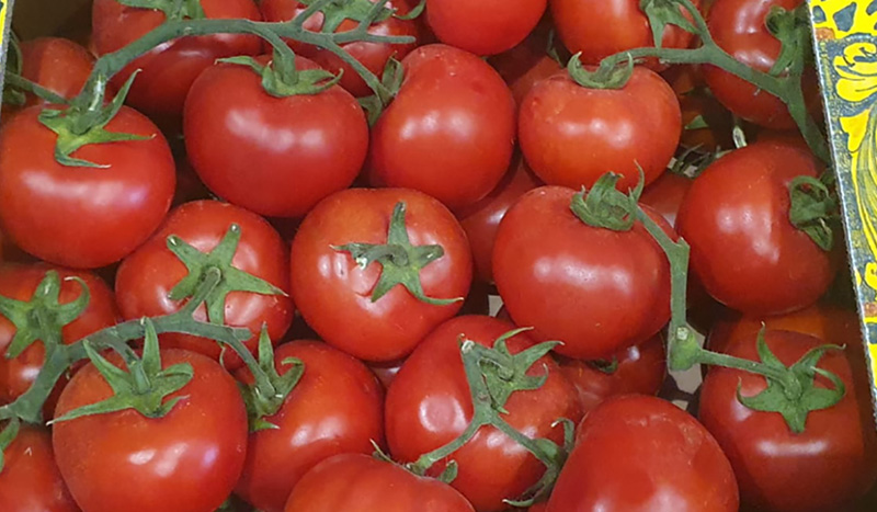 Pomodoro Grappolo - Sicilia - 3,00/3,50 euro al chilogrammo